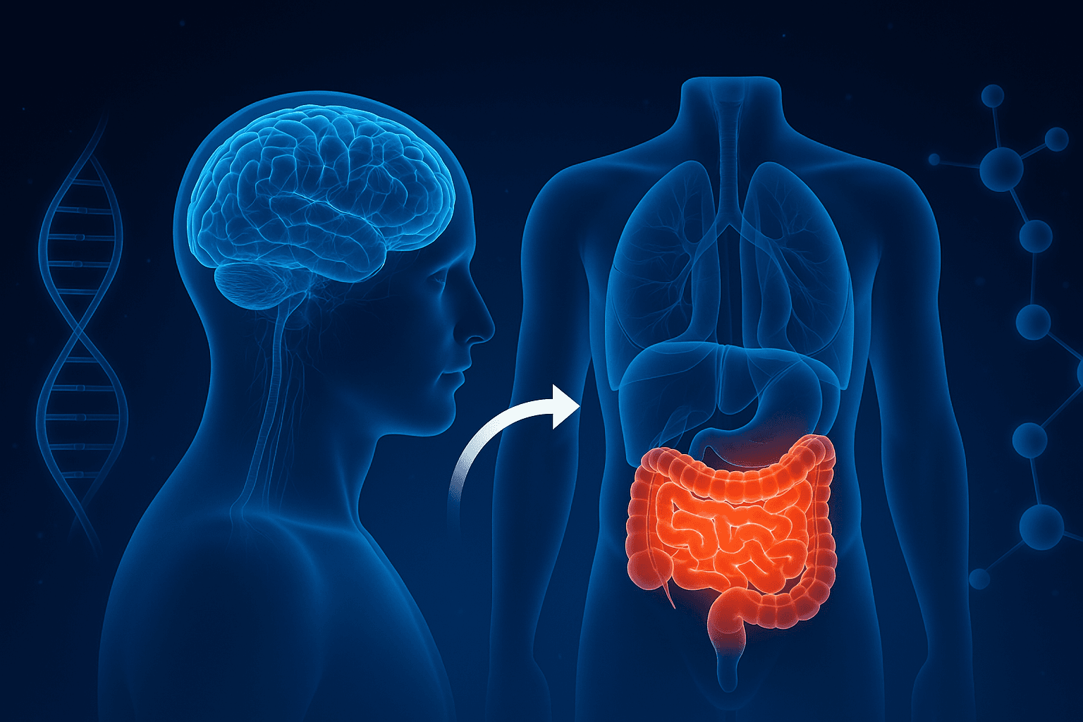 Ось кишечник-мозг. Связь, которая меняет взгляд на психику