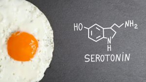 Серотонин - гормон счастья. Роль и функции в организме. Как повысить уровень серотонина?